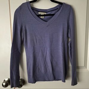 Banana Republic V-neck Marino sweater